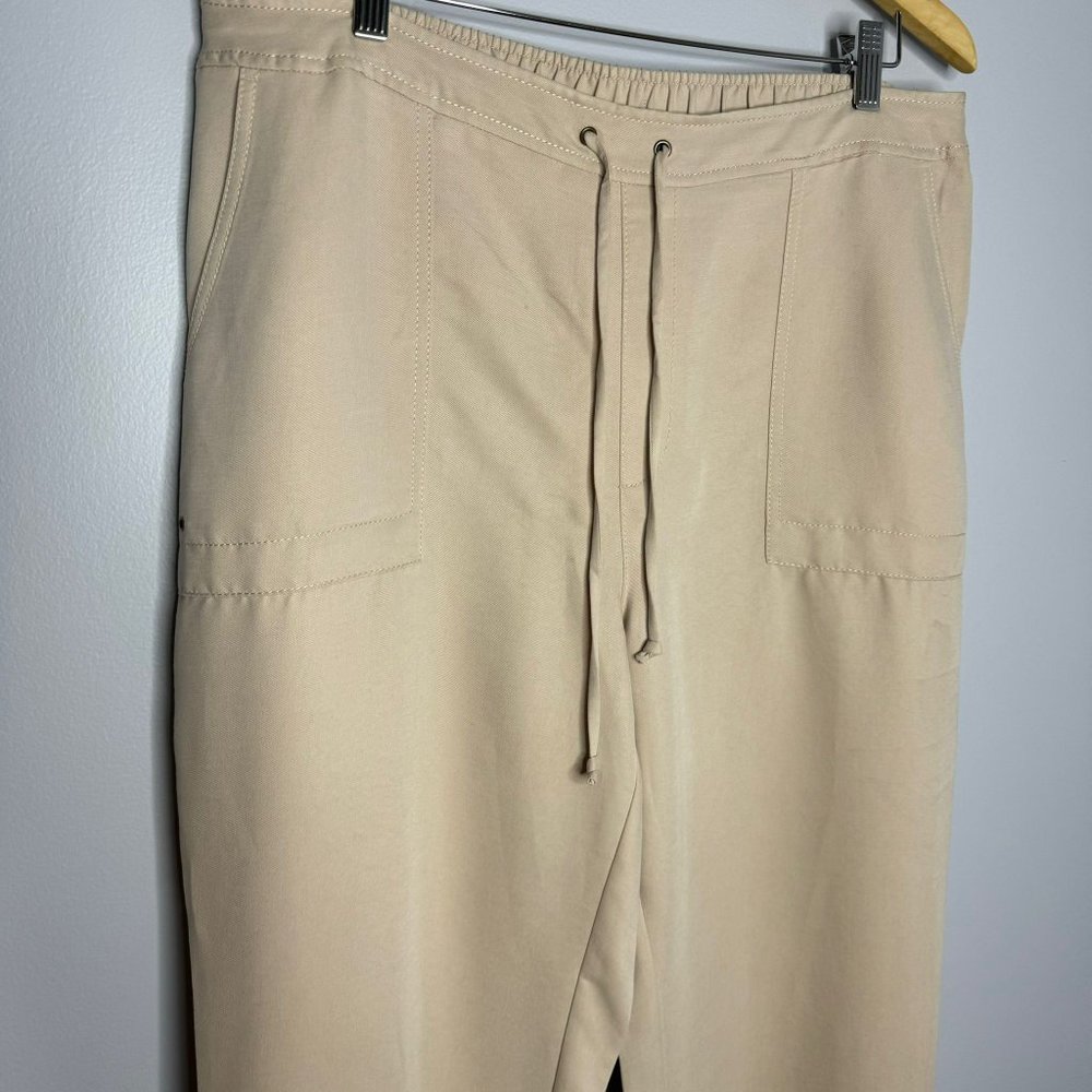 Chicos Pull On Pull-On Ankle Pants - image 4